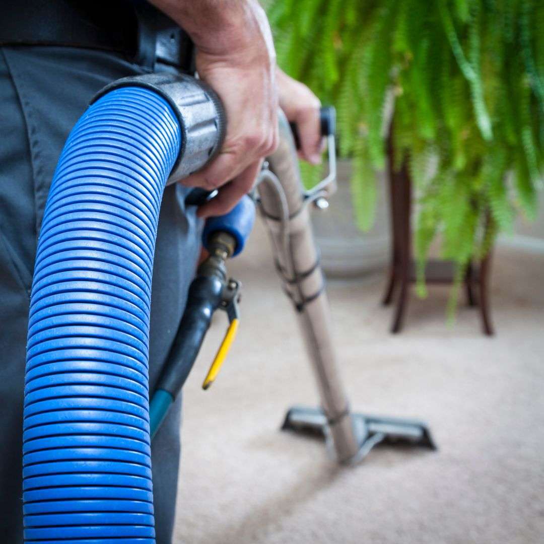 Carpet Cleaning